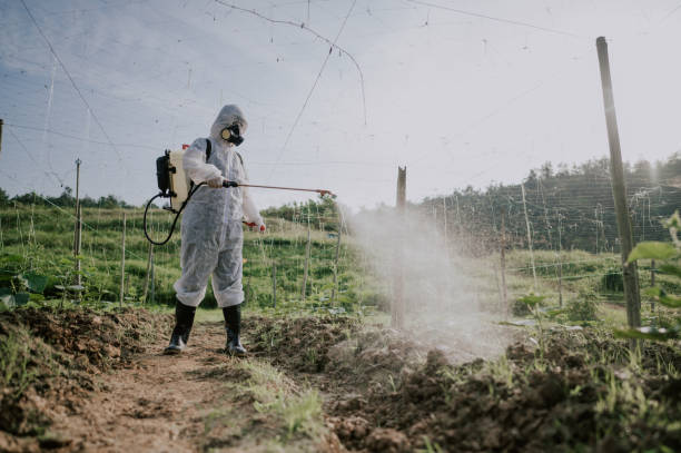 Best Commercial Pest Control Services  in Algonquin, IL