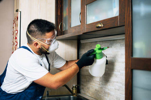Best Affordable Pest Control Services  in Algonquin, IL