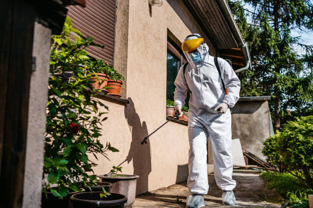 Best Pest Control Near Me  in Algonquin, IL