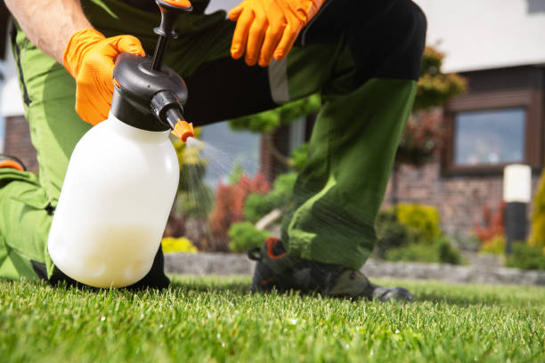 Best Best Pest Control Near Me  in Algonquin, IL