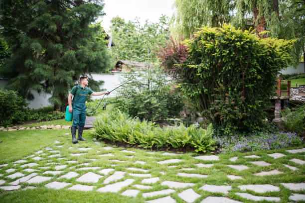 Best Best Pest Control Companies  in Algonquin, IL