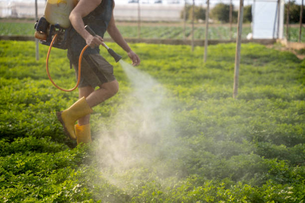 Best Local Pest Control Services  in Algonquin, IL