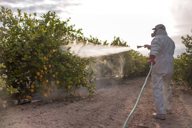 Best Ant Control Services  in Algonquin, IL