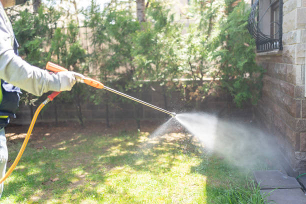 Best Rodent Control Near Me  in Algonquin, IL