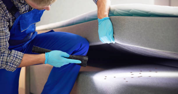 Best Cockroach Control Services  in Algonquin, IL