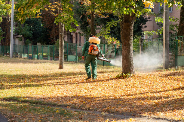 Algonquin, IL Pest Control Pros