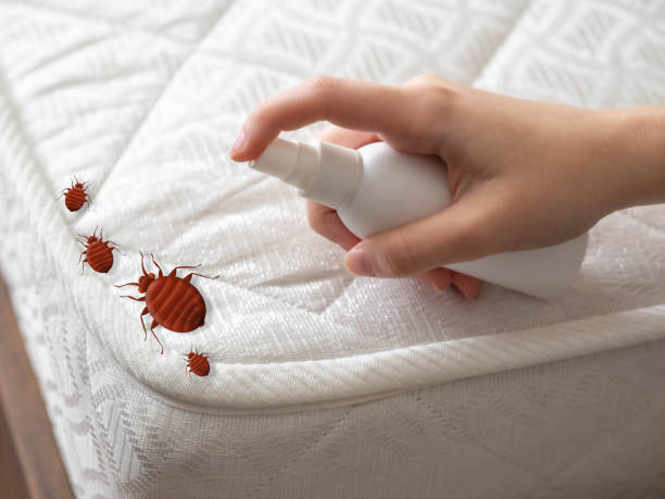 Best Mosquito Control Services  in Algonquin, IL