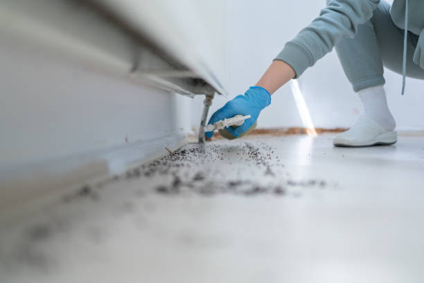 Best Pest Removal Services  in Algonquin, IL